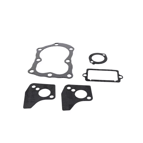 Briggs & Stratton 498529 Gasket Set-Valve